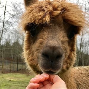 Meet your Posher, Nora